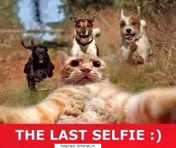 click pe imagine pentru a mari ! funny pics  week
